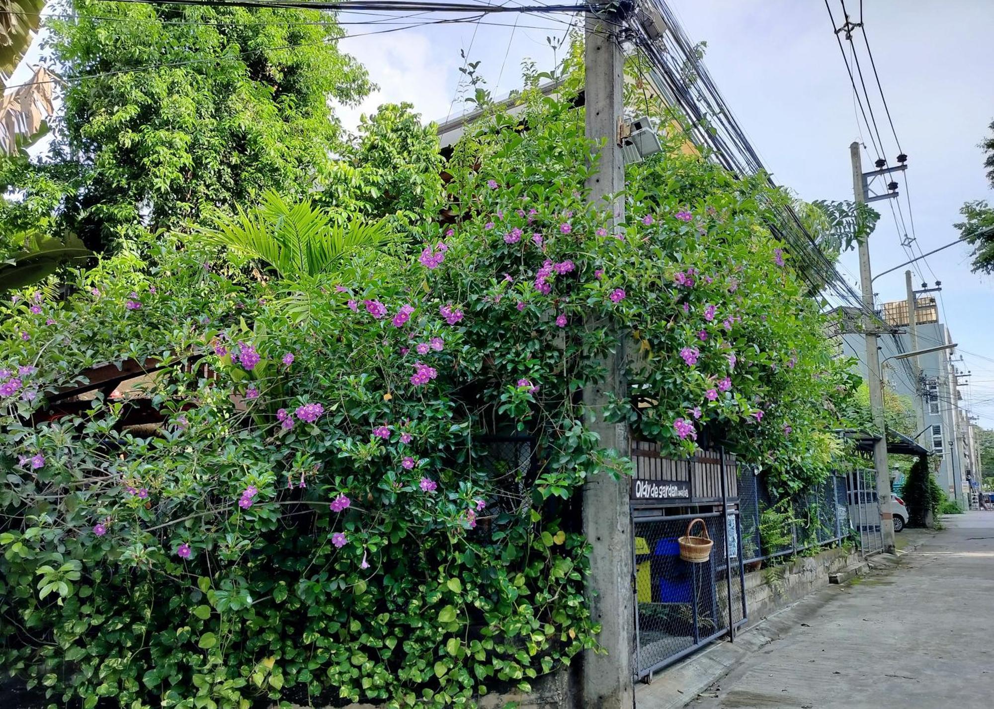 Oldy De Garden Apart otel Chiang Mai Dış mekan fotoğraf