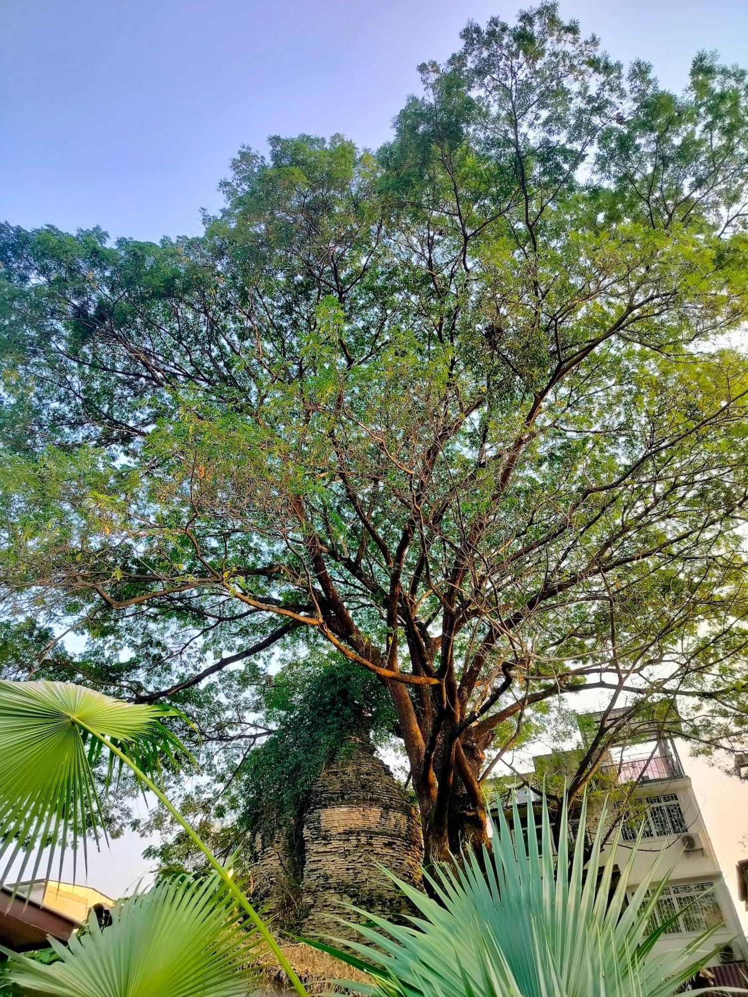 Oldy De Garden Apart otel Chiang Mai Dış mekan fotoğraf