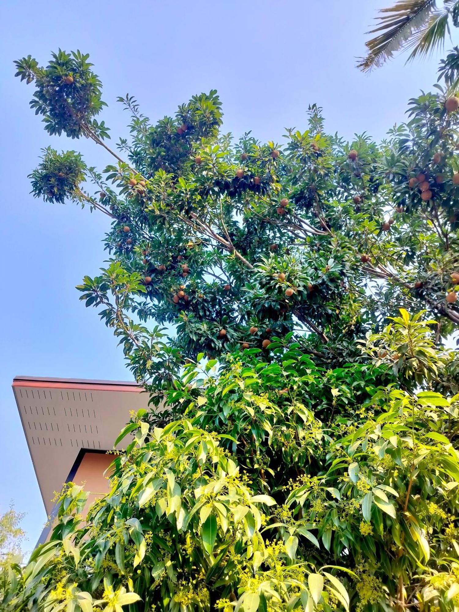 Oldy De Garden Apart otel Chiang Mai Dış mekan fotoğraf