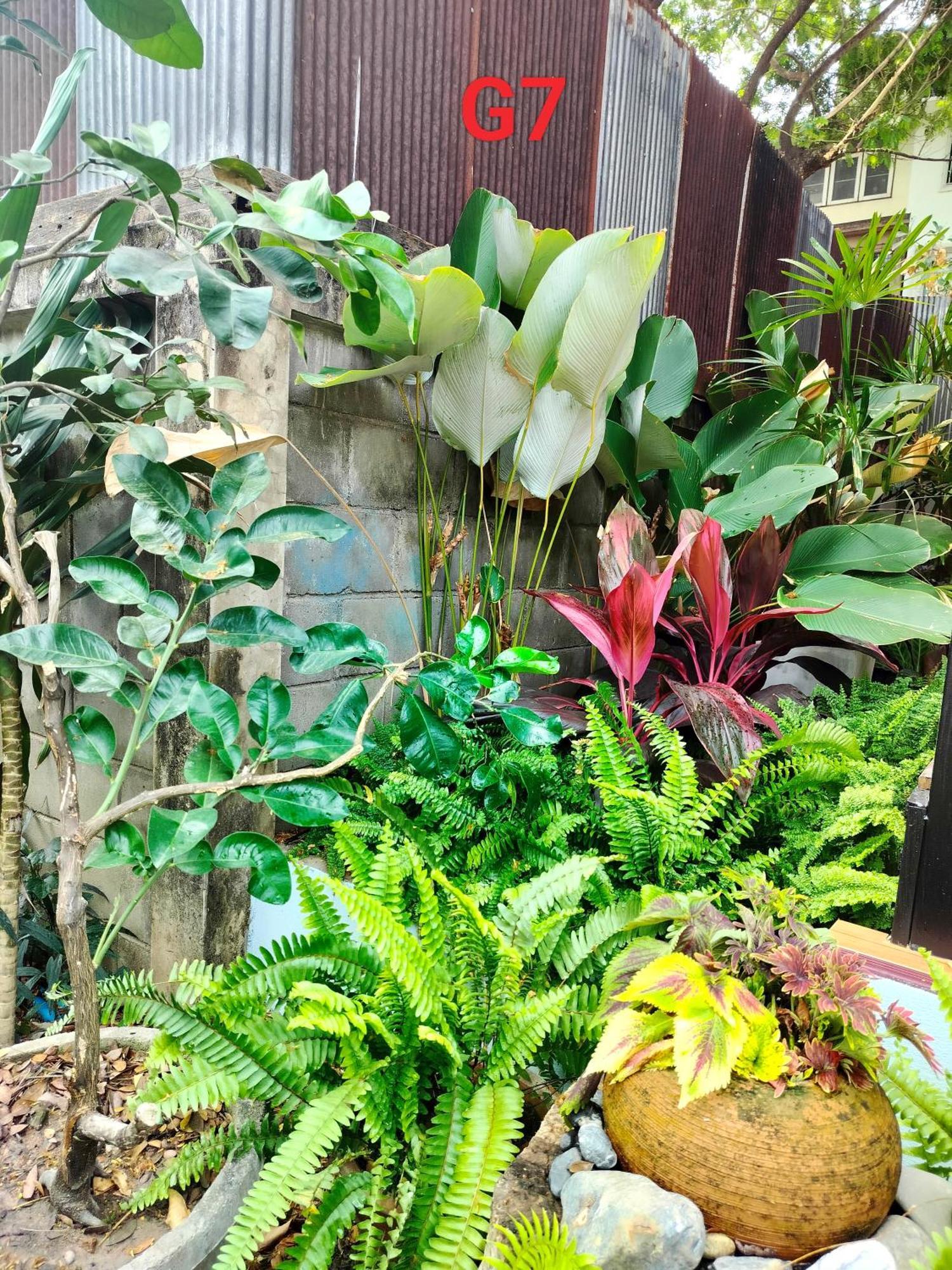 Oldy De Garden Apart otel Chiang Mai Dış mekan fotoğraf